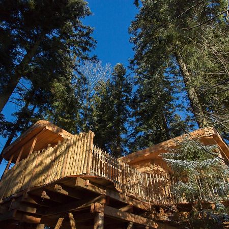 Domaine De L'Authentique Cabanes Dans Les Arbres Fournet-Blancheroche المظهر الخارجي الصورة