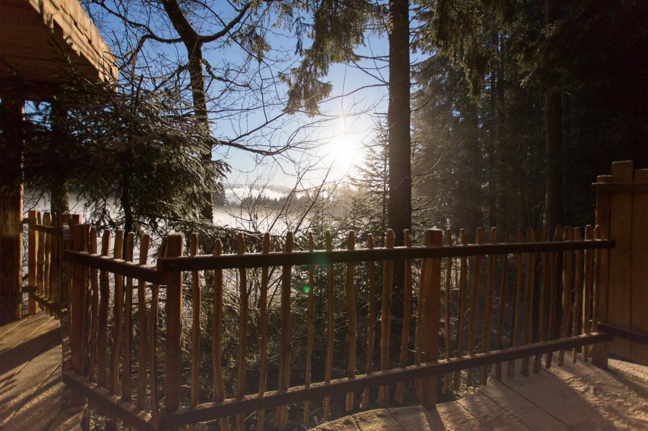 Domaine De L'Authentique Cabanes Dans Les Arbres Fournet-Blancheroche المظهر الخارجي الصورة