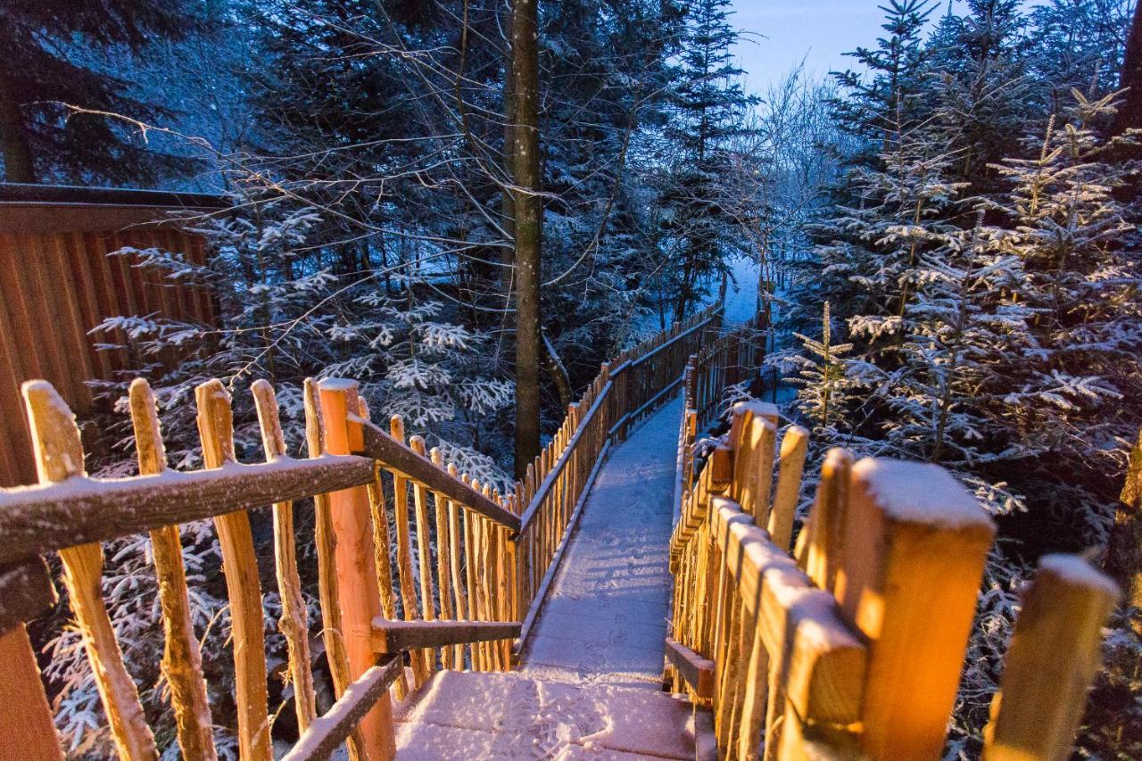 Domaine De L'Authentique Cabanes Dans Les Arbres Fournet-Blancheroche المظهر الخارجي الصورة