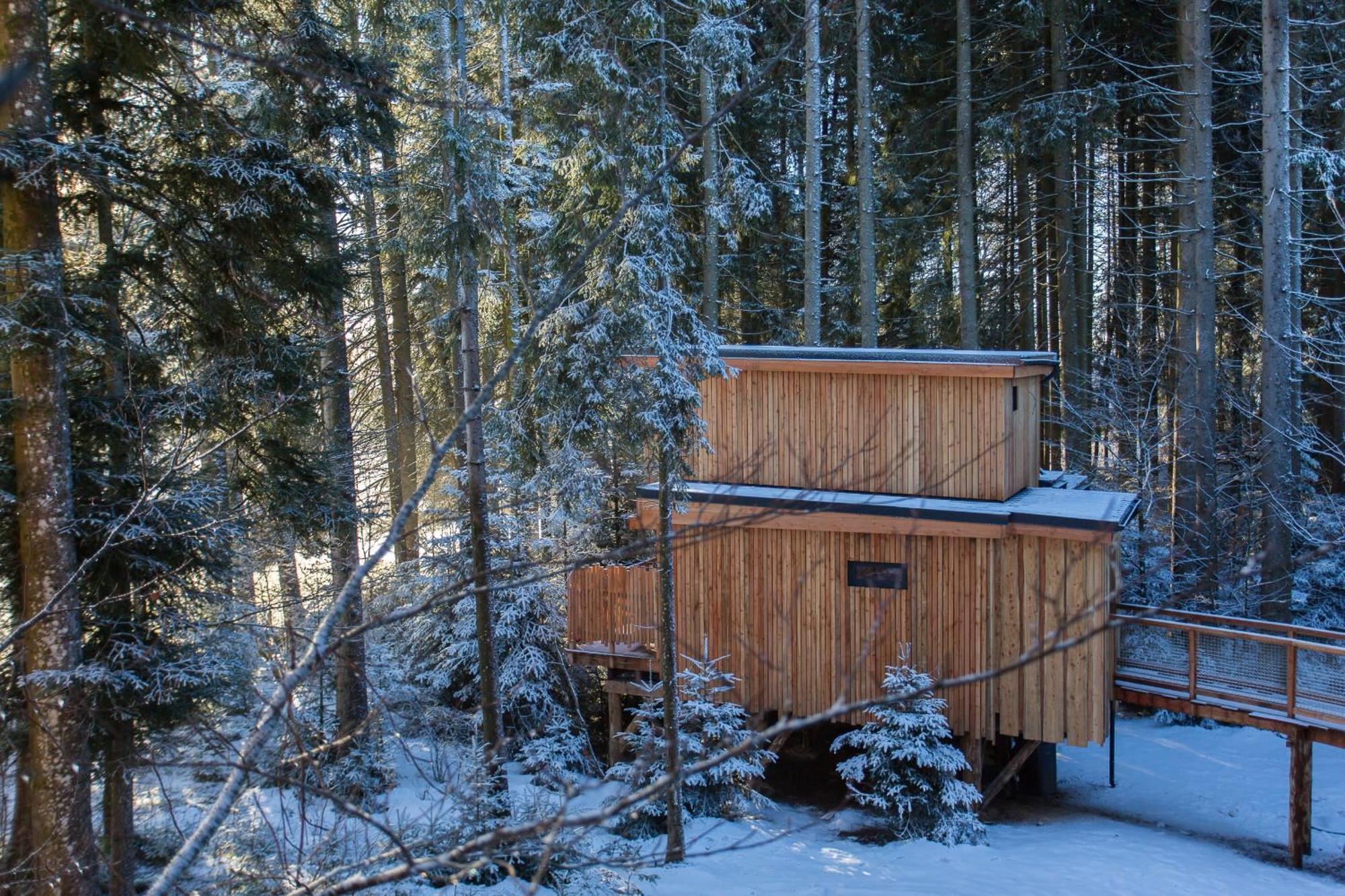 Domaine De L'Authentique Cabanes Dans Les Arbres Fournet-Blancheroche الغرفة الصورة